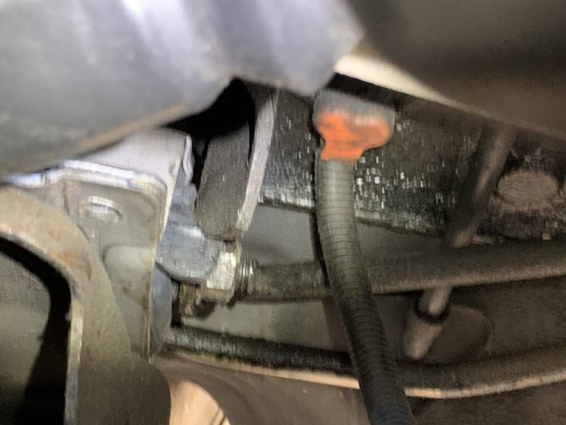 CC940721-2CA7-4D33-B1FA-1FCE63EE4183.jpeg CC940721-2CA7-4D33-B1FA-1FCE63EE4183.jpeg