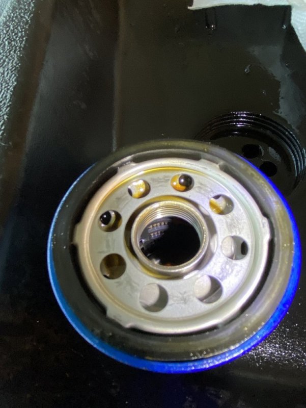 IMG_6095.JPG IMG_6095.JPG