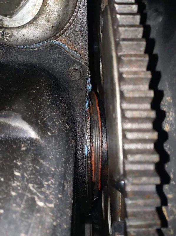 FB_IMG_1638145307610.jpg FB_IMG_1638145307610.jpg