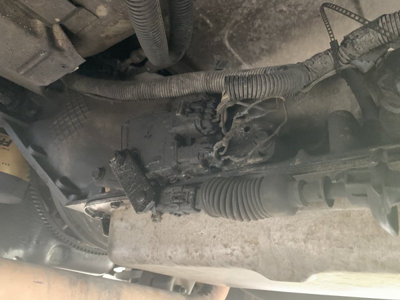 00B665F8-7303-459D-B5D4-35C344A41F7E.jpeg 00B665F8-7303-459D-B5D4-35C344A41F7E.jpeg