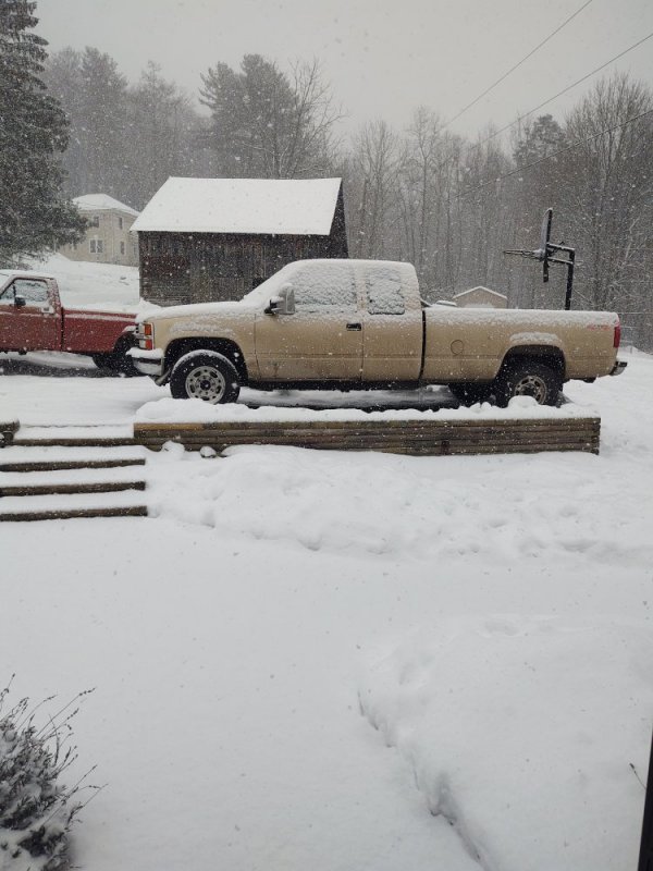 IMG_20220123_152818374.jpg IMG_20220123_152818374.jpg