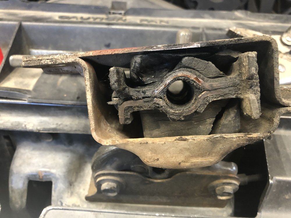 7AE81F4C-8146-4737-8935-9A3F84E864F1.jpeg 7AE81F4C-8146-4737-8935-9A3F84E864F1.jpeg