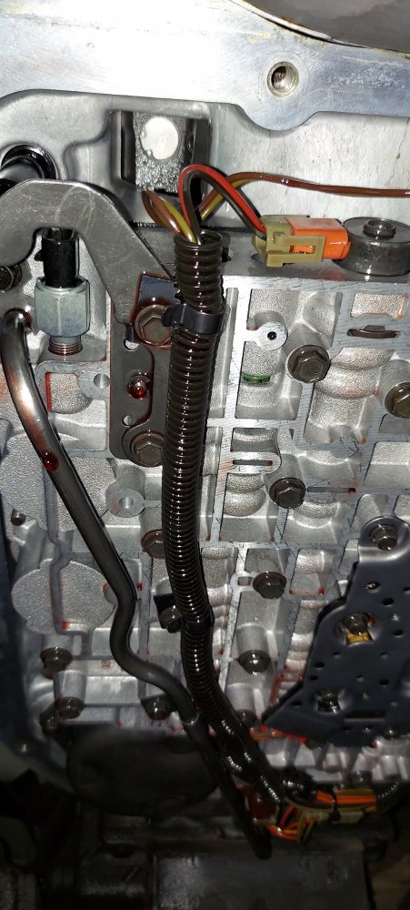 20221019_062605.jpg 20221019_062605.jpg