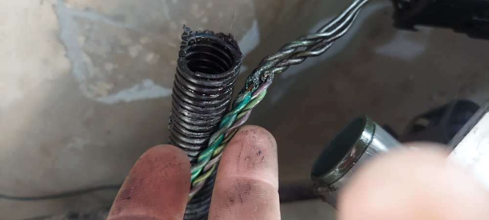 20221021_151210.jpg 20221021_151210.jpg