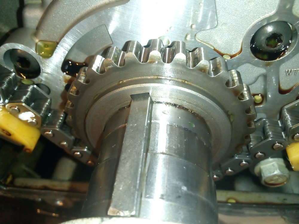 IMG_20221126_160745.jpg IMG_20221126_160745.jpg