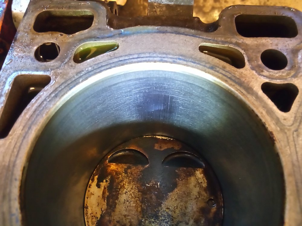 IMG_20230107_131914.jpg IMG_20230107_131914.jpg