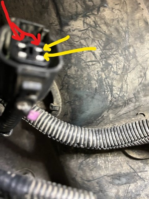 Encoder Harness.jpg Encoder Harness.jpg