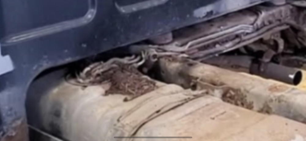 233990A8-DCF7-44E3-BF38-8101B3A2D2D2.png 233990A8-DCF7-44E3-BF38-8101B3A2D2D2.png