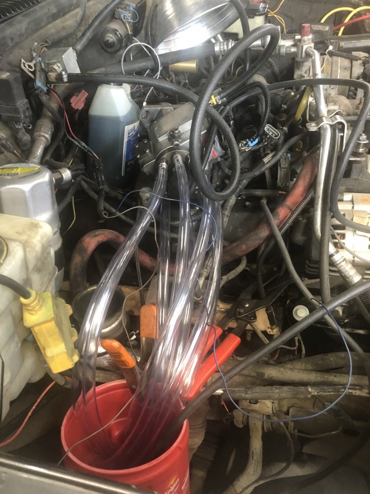 4901F639-5BDA-45D3-A0CF-25E64A92EFCF.jpeg 4901F639-5BDA-45D3-A0CF-25E64A92EFCF.jpeg