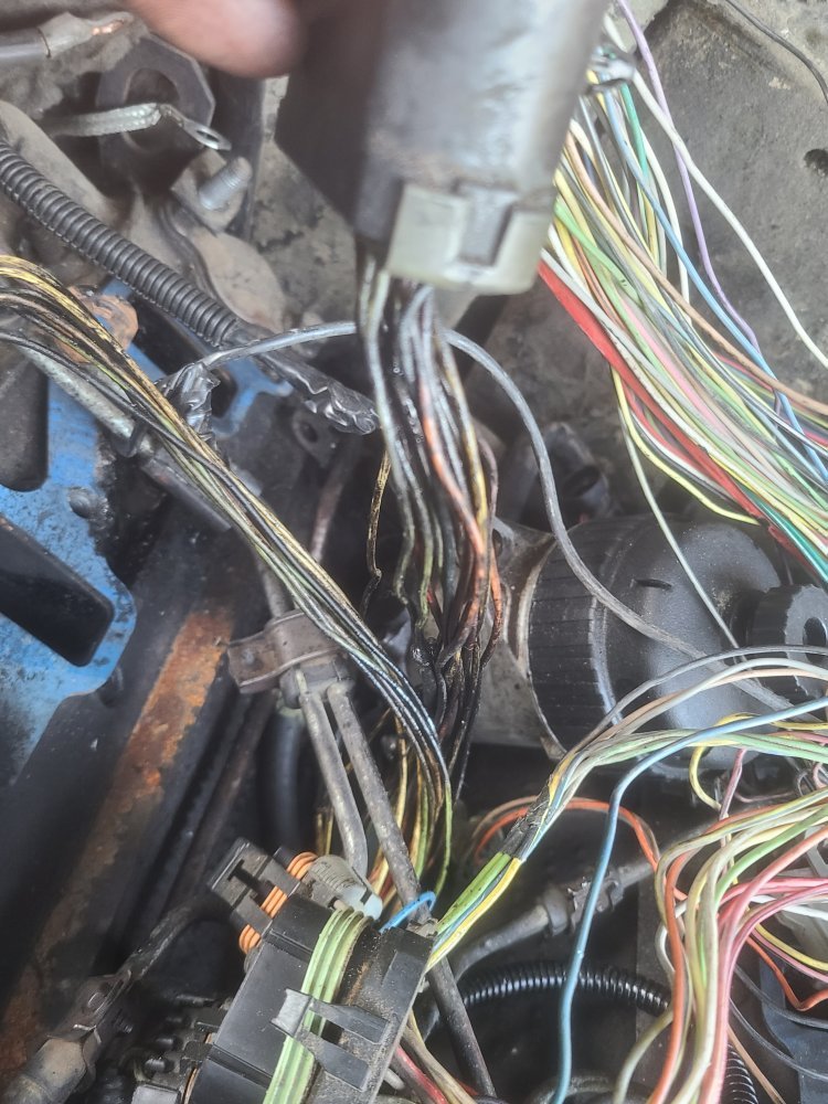 20230320_190001.jpg 20230320_190001.jpg