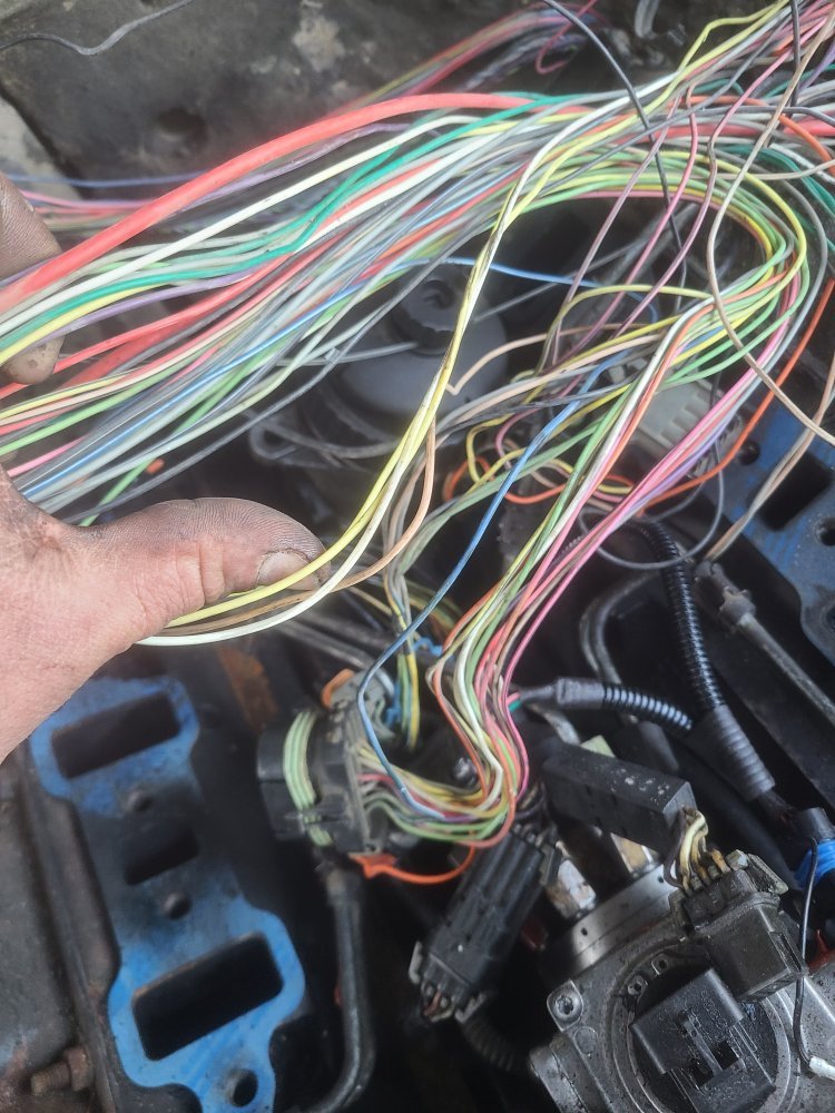 20230320_190806.jpg 20230320_190806.jpg