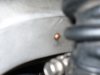 P1010100small.JPG