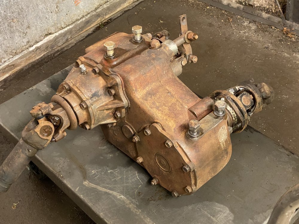 IMG_6914.jpeg IMG_6914.jpeg