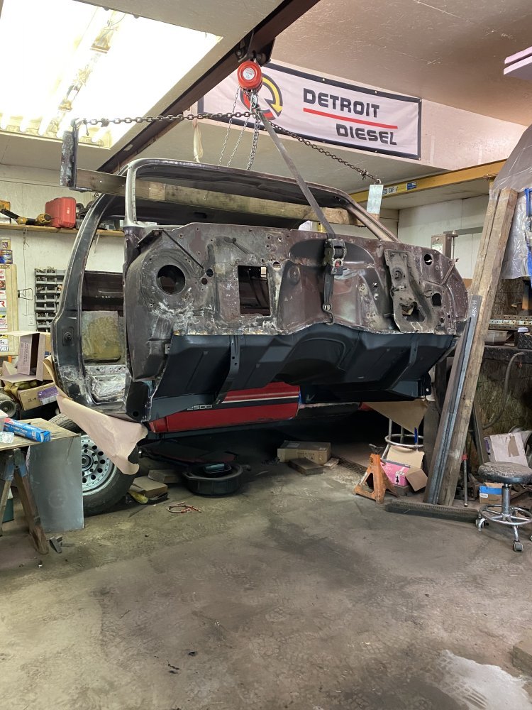 IMG_6916.jpeg IMG_6916.jpeg