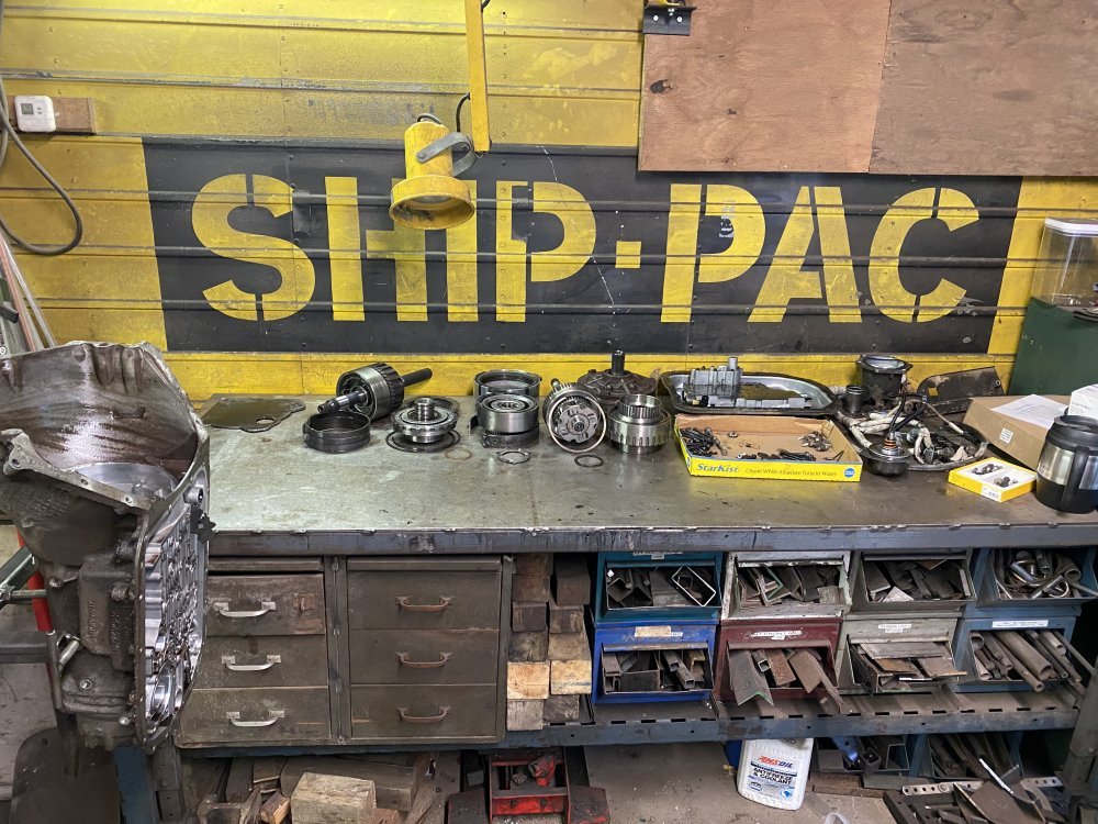 IMG_7031.jpeg IMG_7031.jpeg