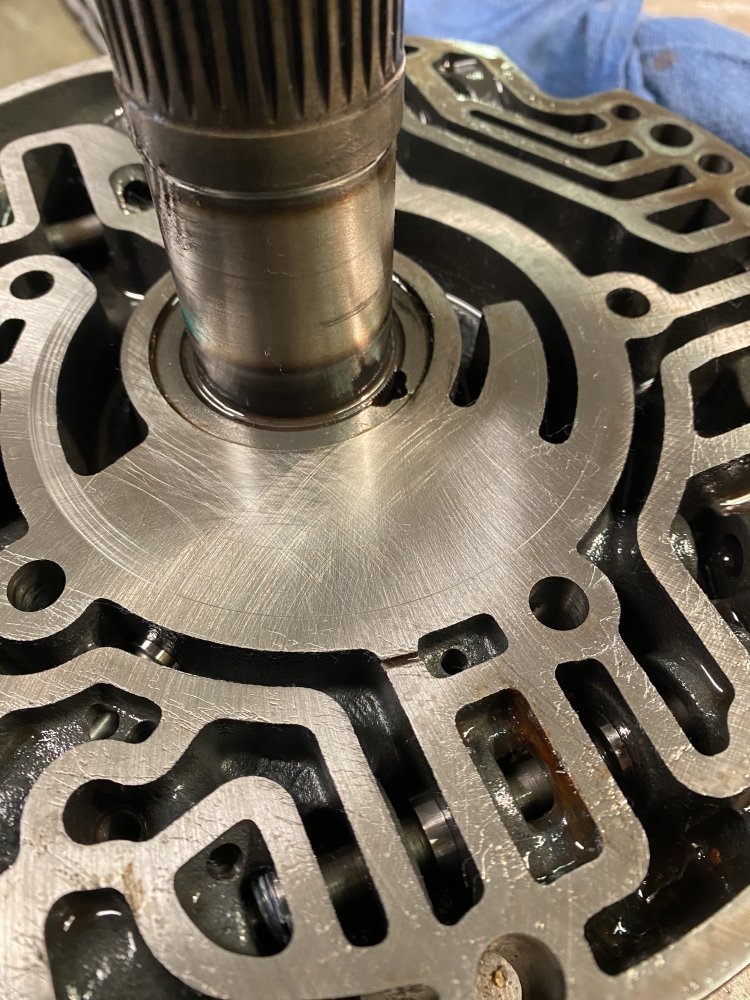 IMG_7026.jpeg IMG_7026.jpeg