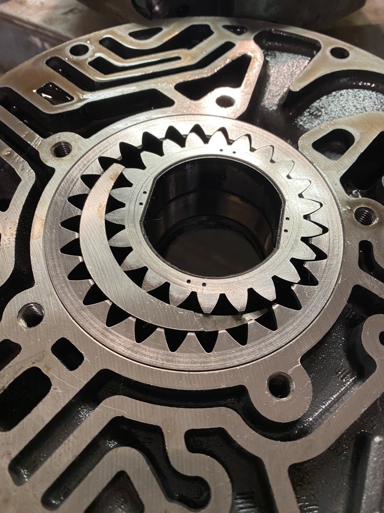 IMG_7027.jpeg IMG_7027.jpeg