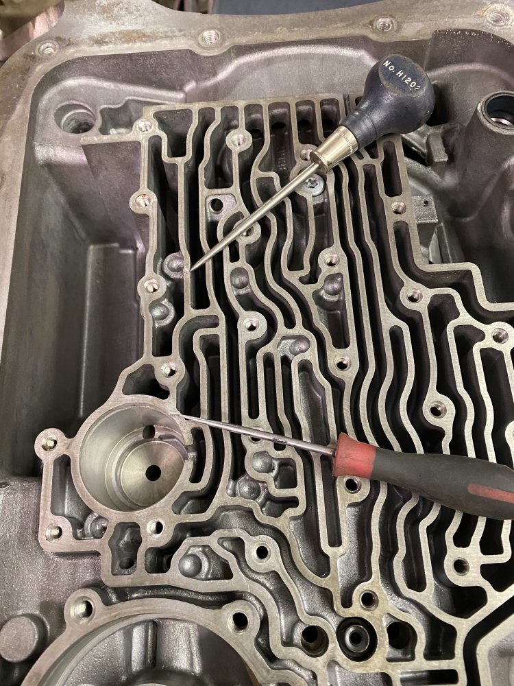 IMG_7140.jpeg IMG_7140.jpeg