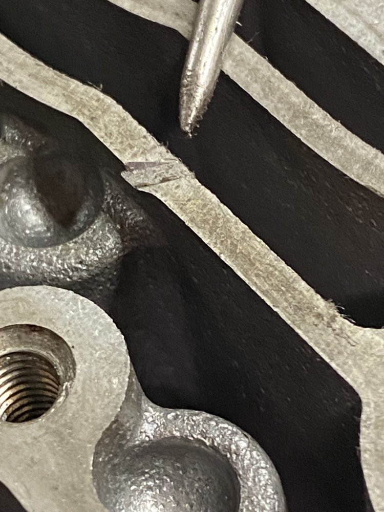 IMG_7141.jpeg IMG_7141.jpeg