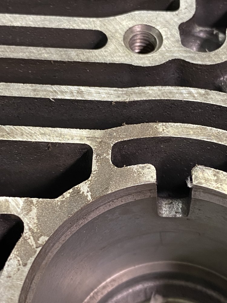 IMG_7144.jpeg IMG_7144.jpeg