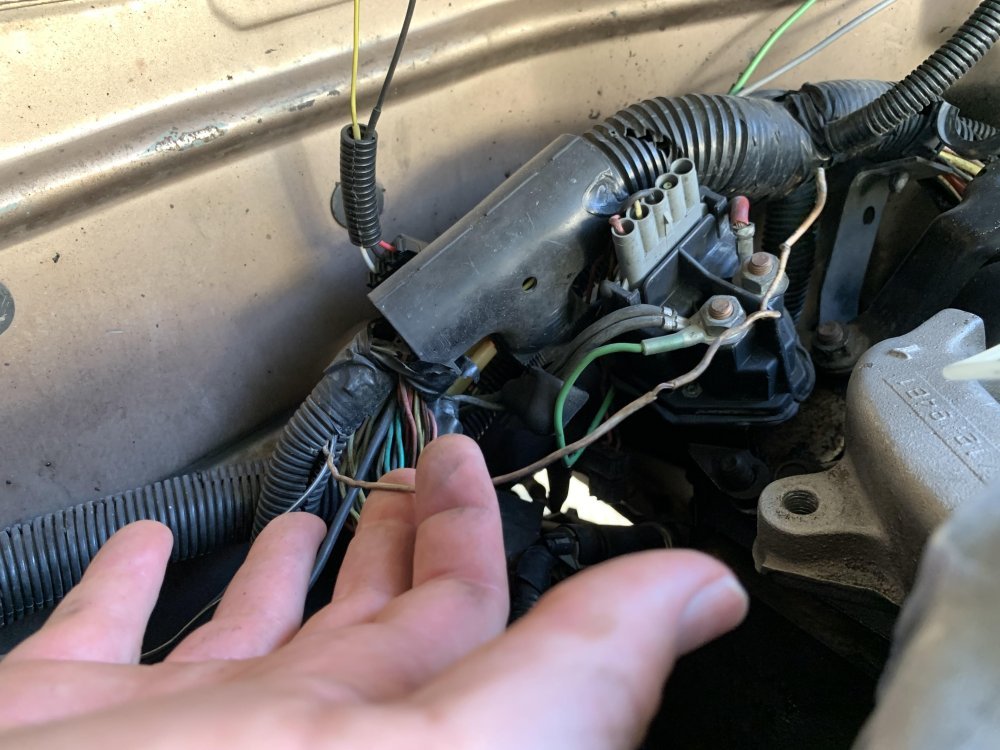 Unknown Wire.jpg