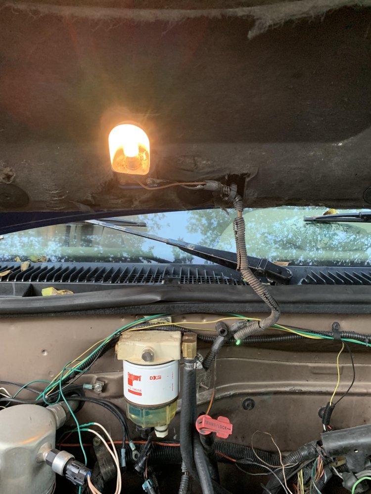 Hood light.jpg