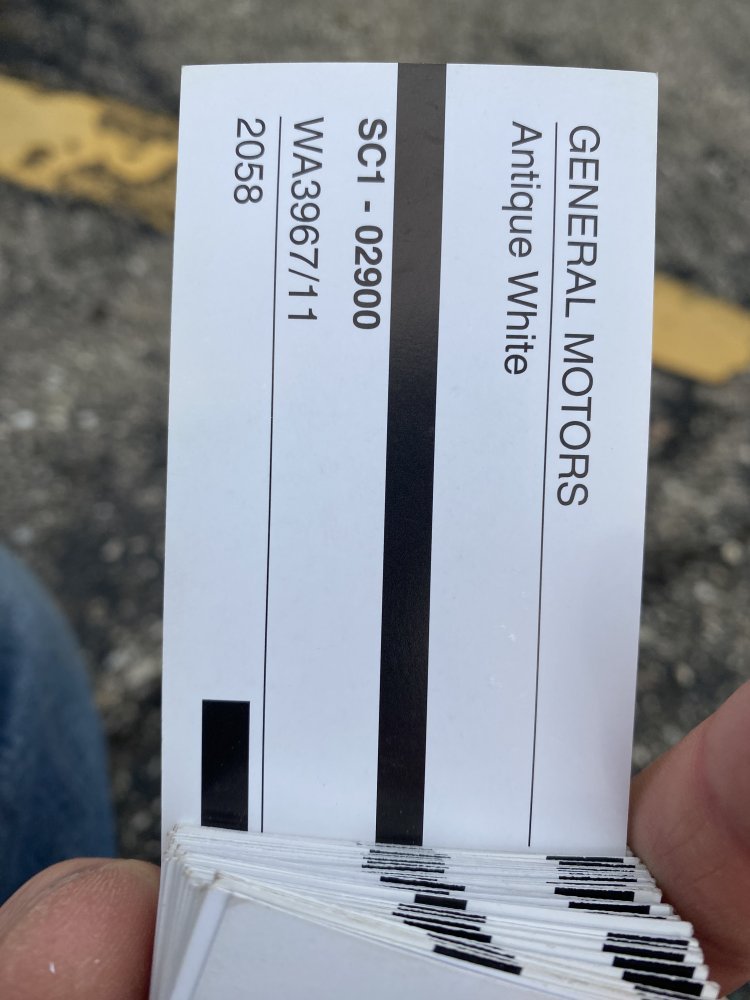 IMG_7172.jpeg IMG_7172.jpeg