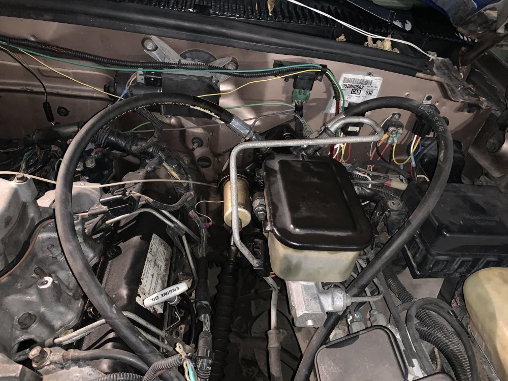 Steering Hoses 1.jpg