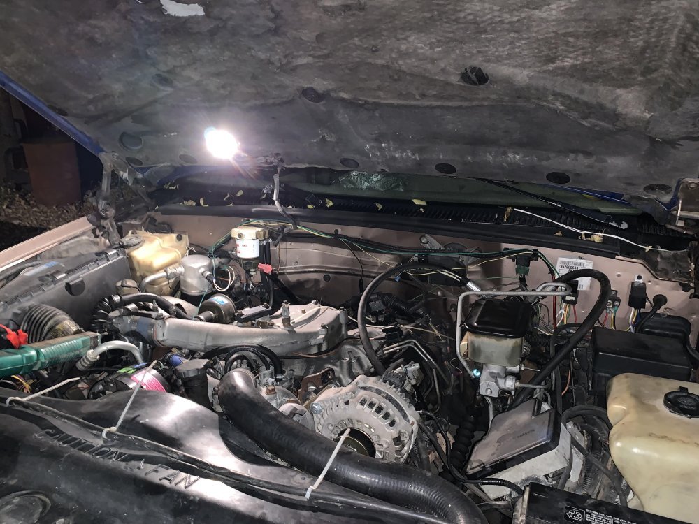 Steering Hoses.jpg