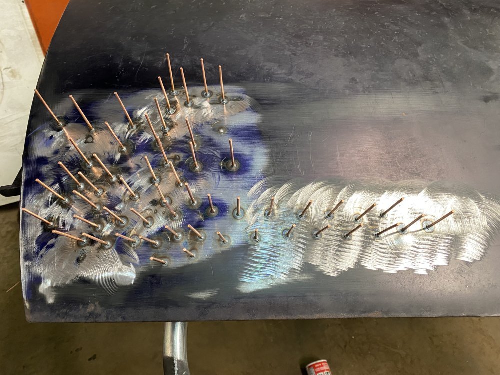 IMG_7230.jpeg IMG_7230.jpeg