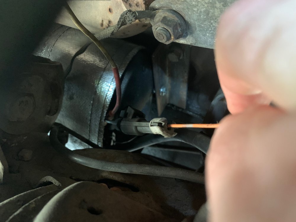 IMG_4415.jpg IMG_4415.jpg