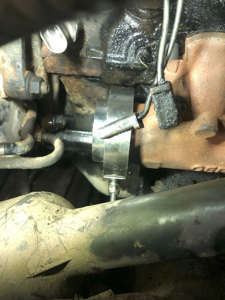 IMG_9113.jpeg IMG_9113.jpeg