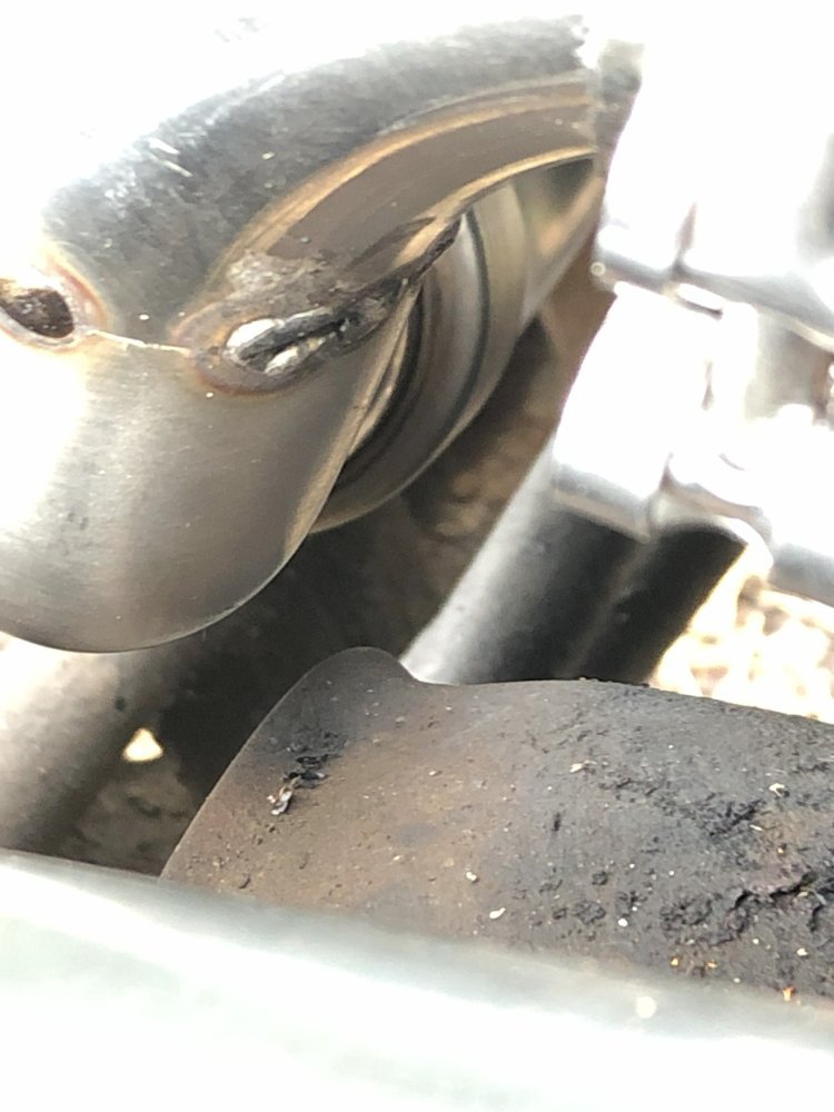 IMG_9251.jpeg IMG_9251.jpeg