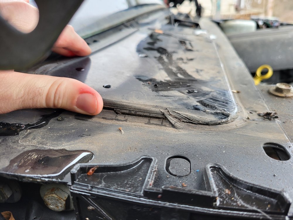 20240203_114511.jpg 20240203_114511.jpg