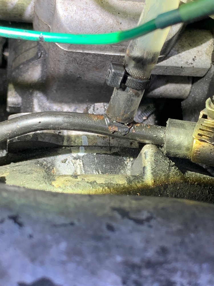 IMG_4896.jpg IMG_4896.jpg