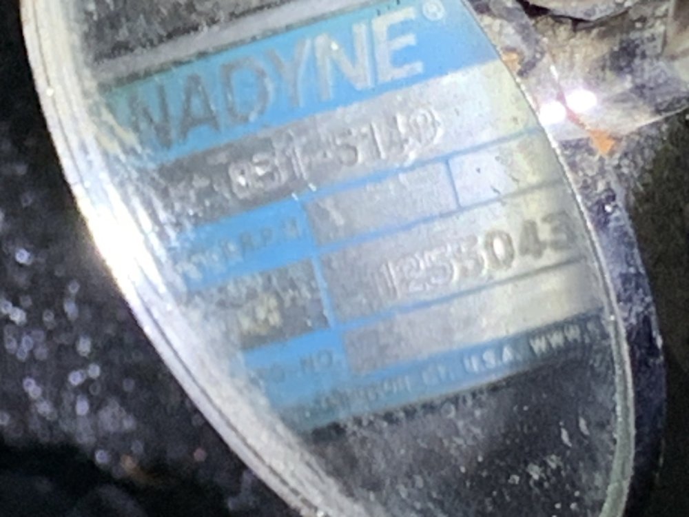 IMG_4899.jpg IMG_4899.jpg