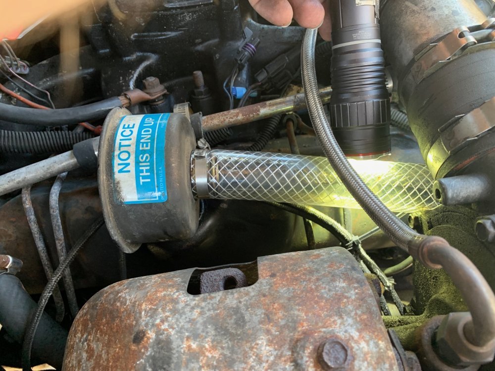 IMG_4926.jpg IMG_4926.jpg