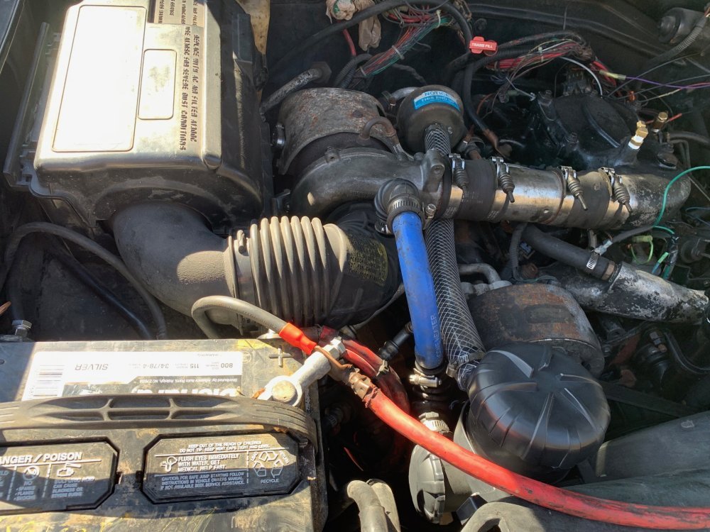 IMG_4925.jpg IMG_4925.jpg