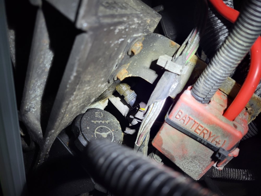 20240227_181353.jpg 20240227_181353.jpg