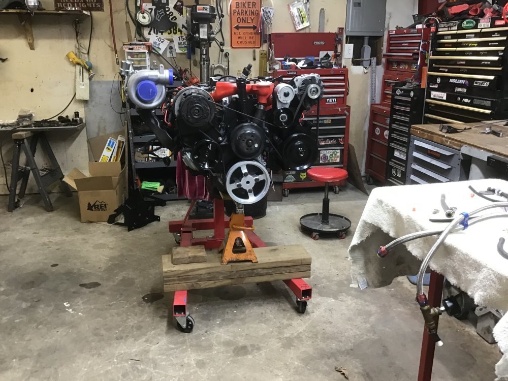 IMG_0206.jpeg IMG_0206.jpeg