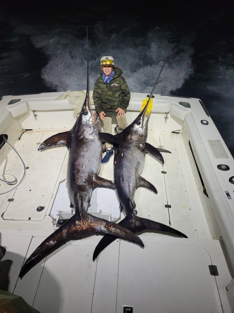 123_1.jpeg 123_1.jpeg