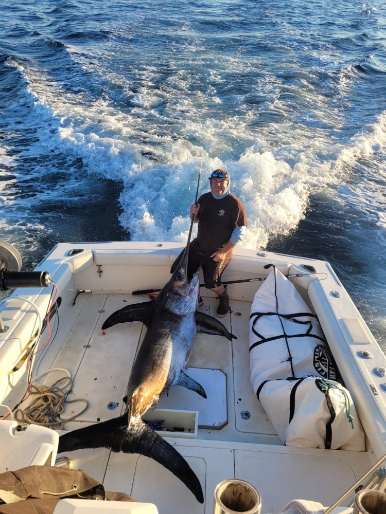 123_1.jpeg 123_1.jpeg