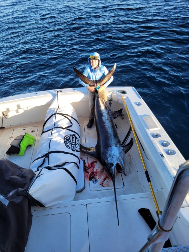 123_1.jpeg 123_1.jpeg