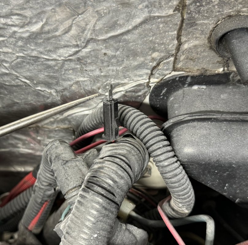 IMG_9130.jpeg IMG_9130.jpeg