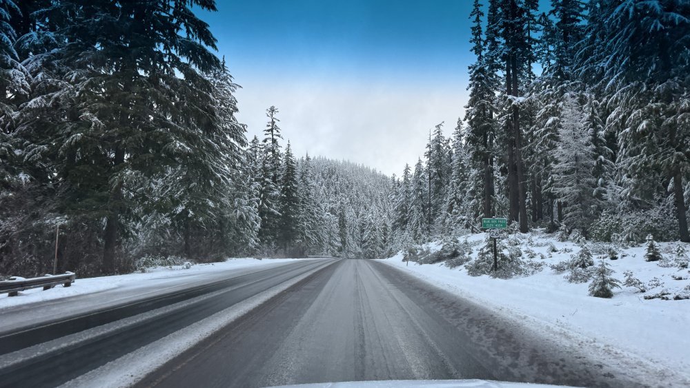 IMG_9172.jpeg IMG_9172.jpeg