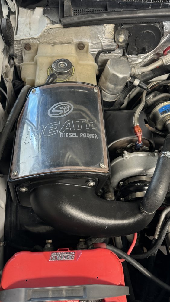 IMG_9182.jpeg IMG_9182.jpeg