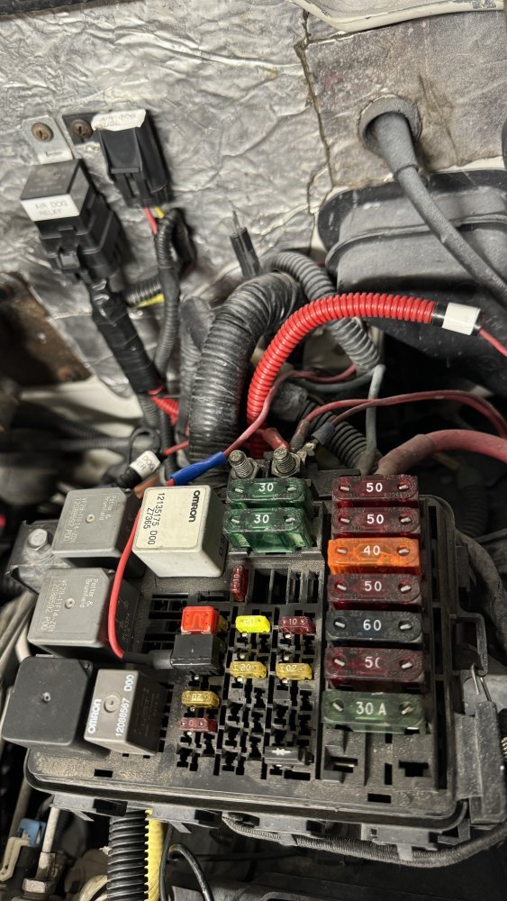 Wiring Harness set up.jpg