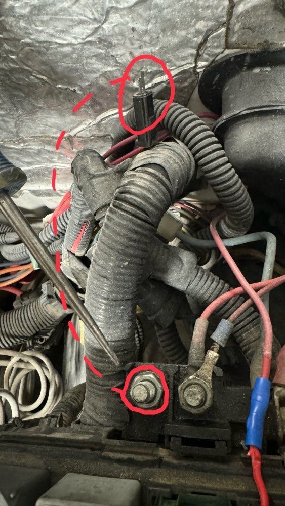 IMG_0171.jpeg IMG_0171.jpeg