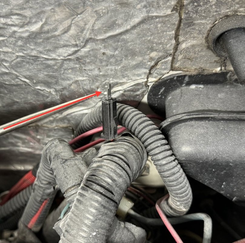 IMG_0170.jpeg IMG_0170.jpeg