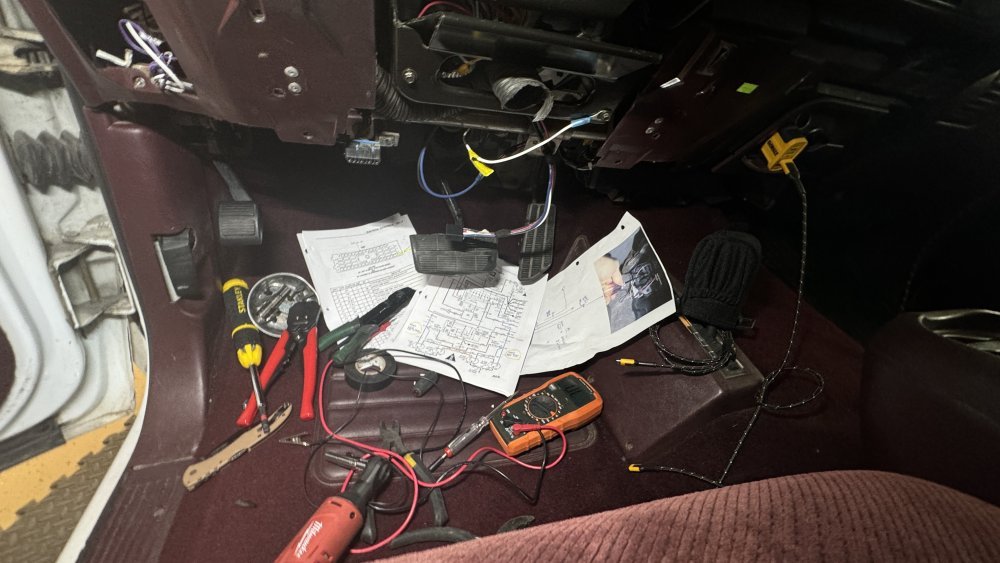 IMG_9319.jpeg IMG_9319.jpeg